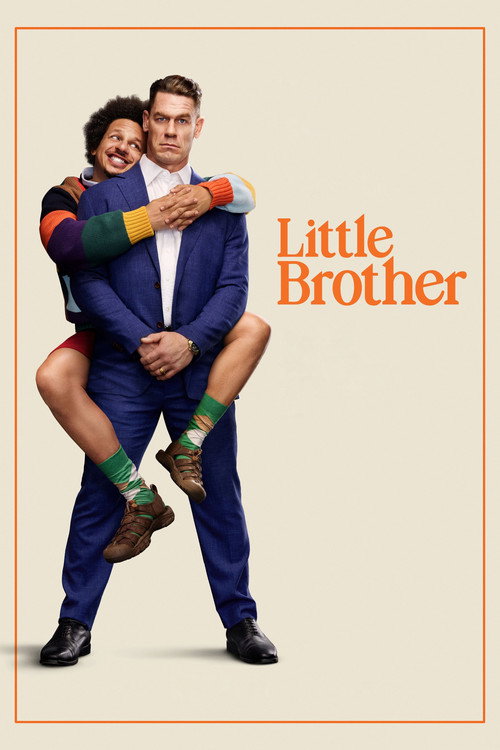  Little Brother poster