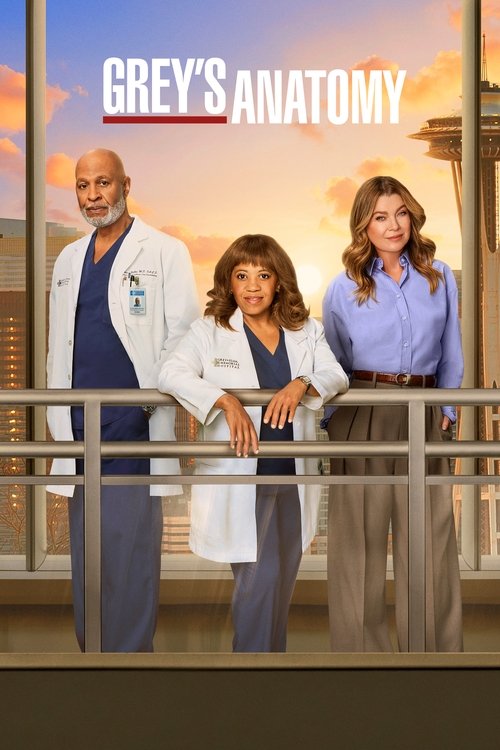  Grey's Anatomy poster