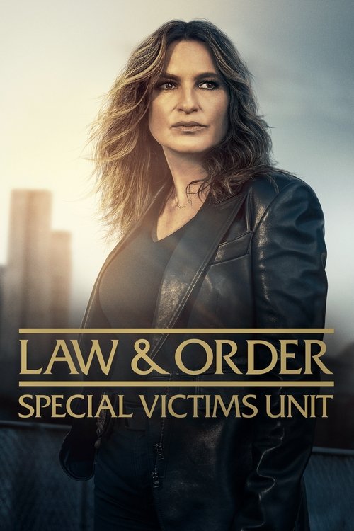  Law & Order: Special Victims Unit poster