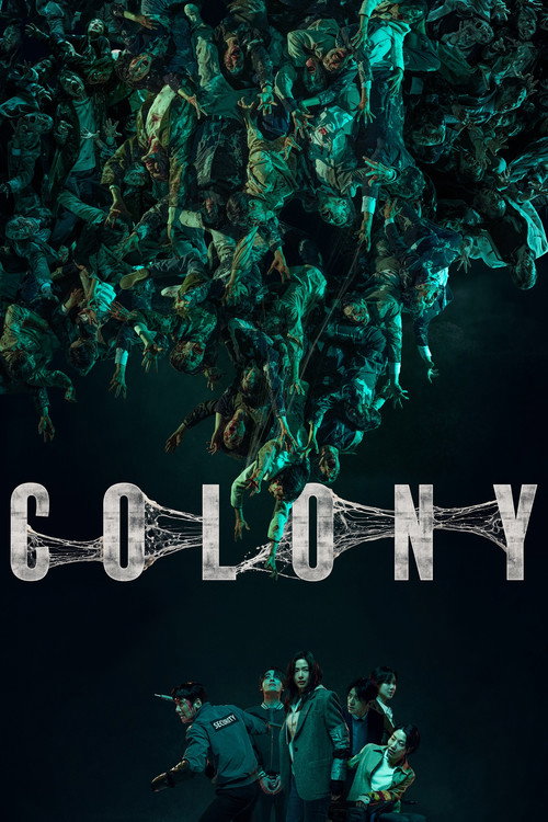  Colony poster
