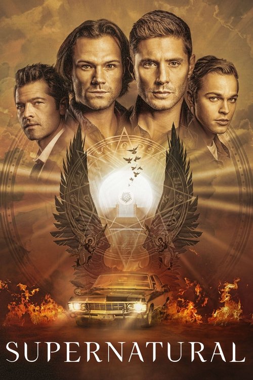  Supernatural poster