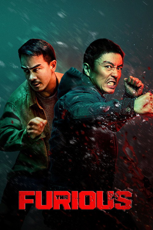 The Furious poster