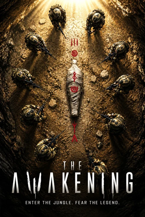 The Awakening poster
